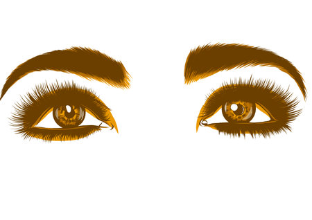 eyes of women vector illustrationのイラスト素材