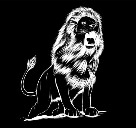 vector Illustration of angry leaping lion in black backgroundのイラスト素材