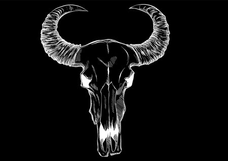 Illustration with goat skull. Hand drawn. Vector.のイラスト素材