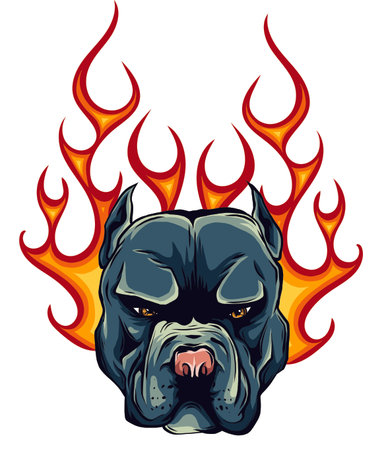 Bull Dog Flame Tattoo in Beast Mode illustrationのイラスト素材