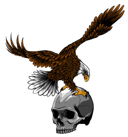 Eagle and Skull vector illustration design artのイラスト素材