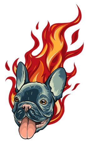 Bull Dog Flame Tattoo in Beast Modeのイラスト素材