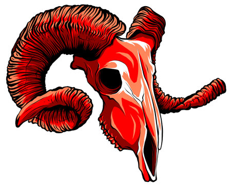 Realistic red goat skull. vector Illustration for designer on a white background.のイラスト素材
