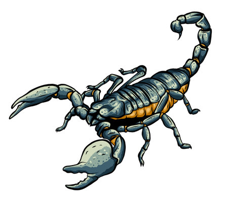 Illustration of scorpion arachnid insect. vector graphicsのイラスト素材