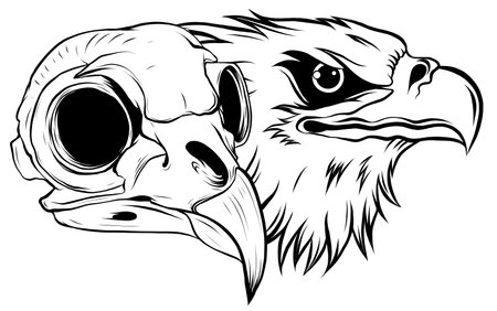 cartoon illustration of a bird skull vectorのイラスト素材