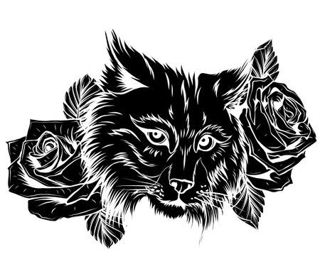 Vector illustration of angry bobcat face profile.のイラスト素材