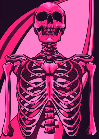 Human skeleton posing isolated over white background vector illustrationのイラスト素材