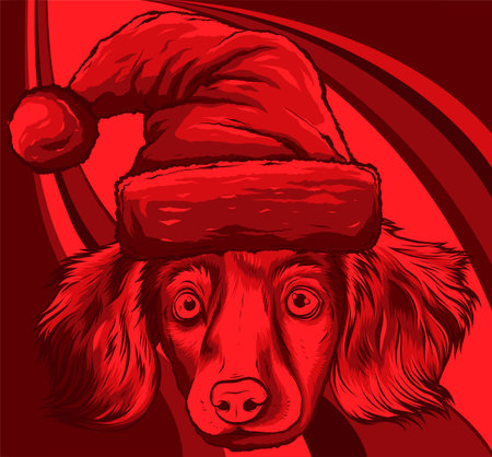 dog face with Christmas hat vector illustrationのイラスト素材