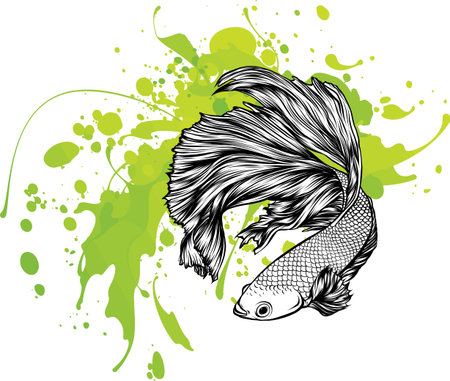 Colorful Betta Fish with green water splash Vector Illustration.のイラスト素材
