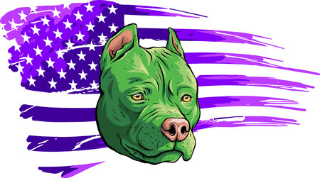 Head of pitbull with american flag vector illustrationのイラスト素材