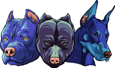 Heads of dogs pitbull dobermann bulldog vectorのイラスト素材