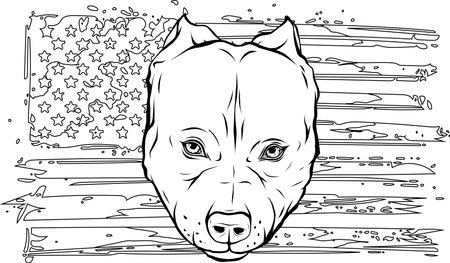 draw in black and white of Head of Aggressive Bully Dog with american flagのイラスト素材