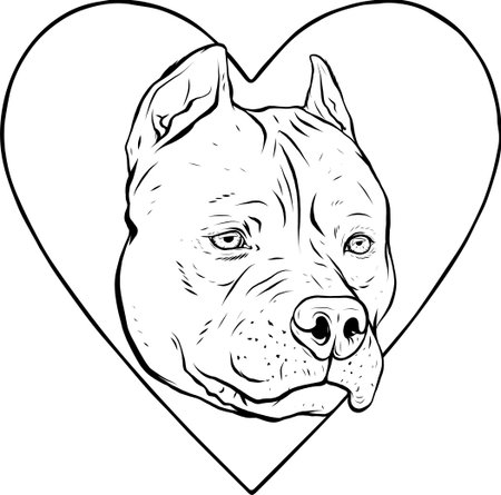 draw in black and white of pitbull head dog in heart vector illustrationのイラスト素材