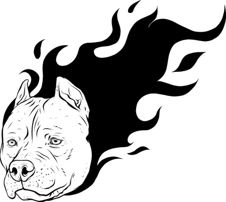 draw in black and white of head of dog pitbull with flames vectorのイラスト素材