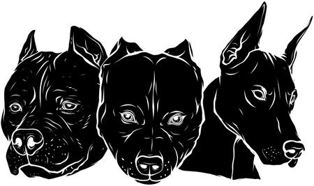 black silhouette of Heads of dogs pitbull dobermann bulldog vectorのイラスト素材