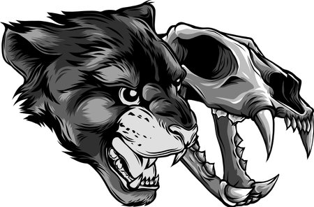 Cougar Panther Head with skull Vector illustrationのイラスト素材