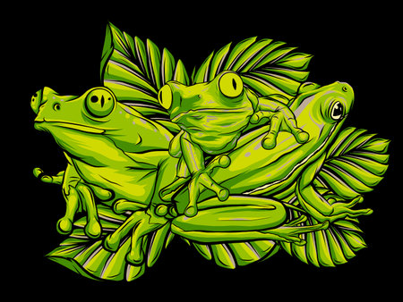 green frogs in different pose. Vector illustration.のイラスト素材