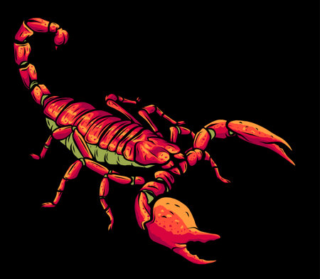 Illustration of scorpion arachnid insect. vector graphicsのイラスト素材