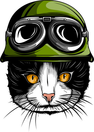 Portrait of a Cat with steampunk helmet. Vector illustration.のイラスト素材