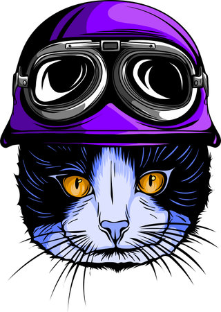Portrait of Cat with Vintage Helmet. Vector illustrationのイラスト素材