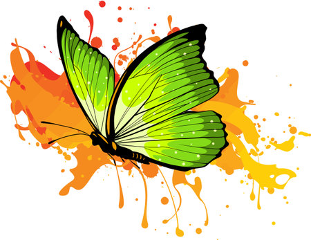 vector colored butterfly Vector illustration.のイラスト素材