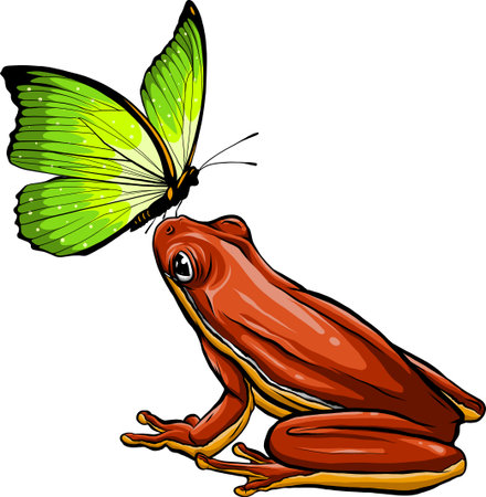 Cute funny butterfly on frog vector illustrationのイラスト素材