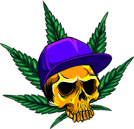 head skull with leaves marijuana and hat vector illustration designのイラスト素材