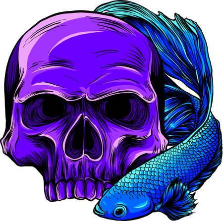 vector illustration of betta fish on white background. digital drawのイラスト素材