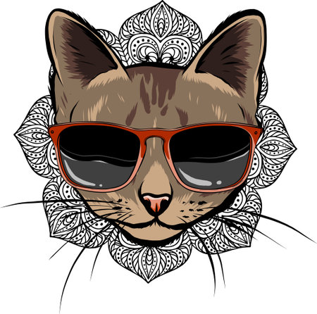 vector illustration of Cat in sunglasses on white backgroundのイラスト素材