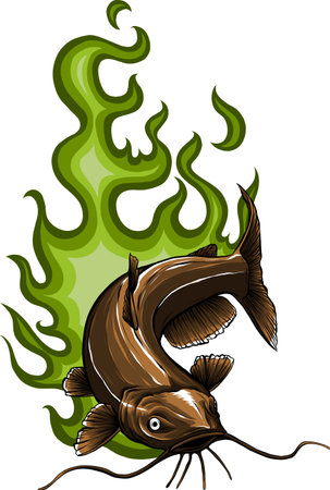 Cartoon of colored catfish vector illustration designのイラスト素材