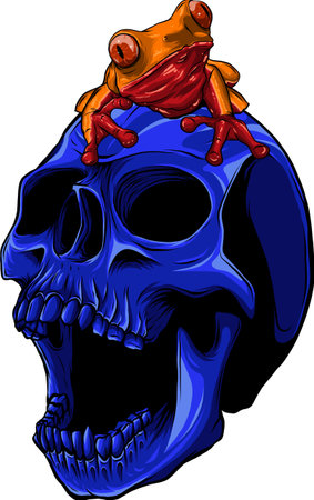 colored draw of human skull vector illustration designのイラスト素材