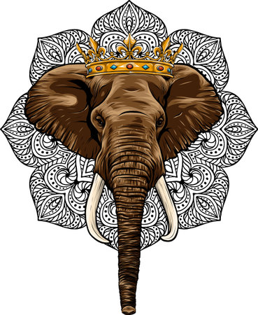 vector illustration of elephant king on white backgroundのイラスト素材