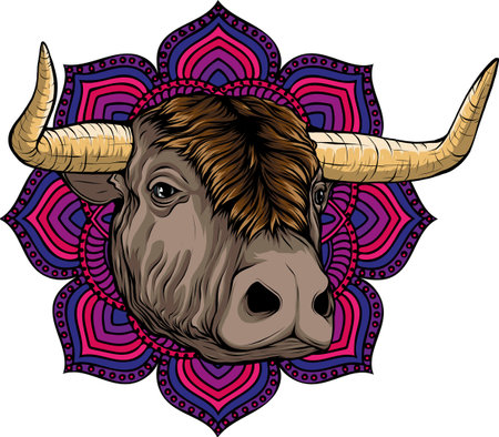 Vector illustration, a ferocious bull head on a white backgroundのイラスト素材