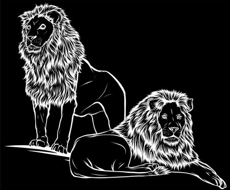 white silhouette of two lion. Vector illustration isolated on black backgroundのイラスト素材