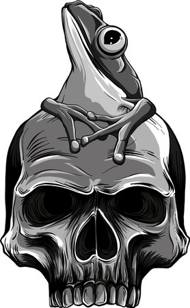 Monochrome Drawing engraving style illustration skull with frog in it for design projectsのイラスト素材