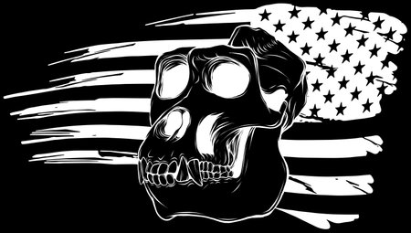 monkey skull in white line on black backgroundのイラスト素材