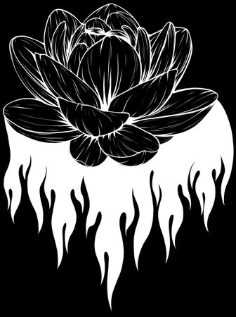 lotus flower in white line on black backgroundのイラスト素材