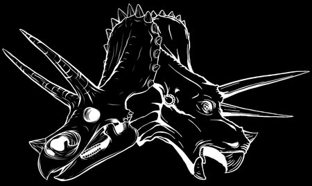Triceratops Skull in white line on black backgroundのイラスト素材