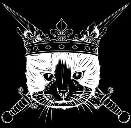 cat in white line on black backgroundのイラスト素材