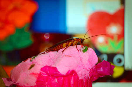 unhygienic food, photo of a cockroach on cupcakeの写真素材