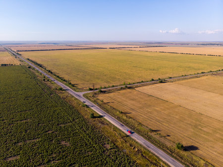Aerial view of agriculture fields, meadow and road inside. Rural scene of countryside. Fresh green colors, look to above tree.の写真素材