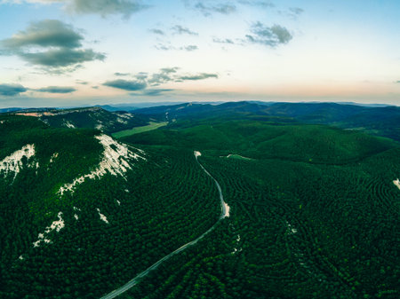 top view of the green forest and the road. Crimea.の写真素材