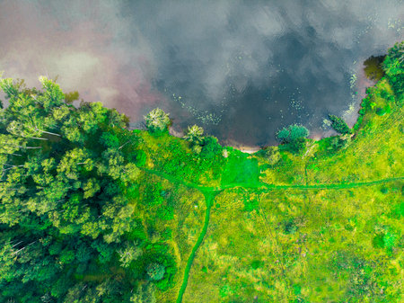 top view of the river bank, green forest and field.の写真素材