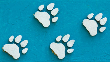animal foot printの写真素材