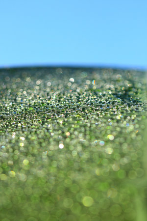 Dew on camping tent