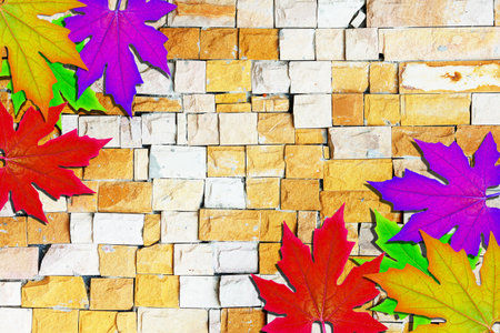 fresh autumn leaves frame on vintage old wooden wall の写真素材