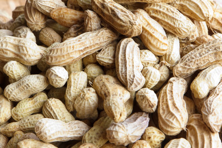 group of peanut 