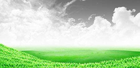 Grass field and cloudy sky background : black and white skyの写真素材