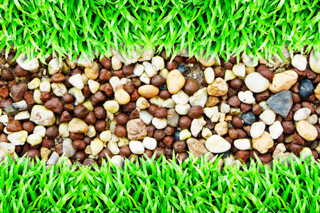 grass background and rockの写真素材