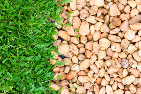 grass and rock backgroundの写真素材